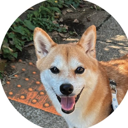 スペル（柴犬）